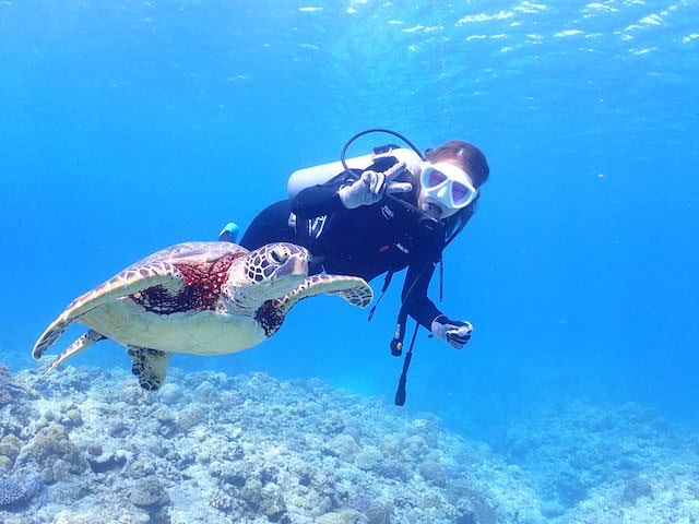 慶良間の海で海亀と泳いでいる写真
