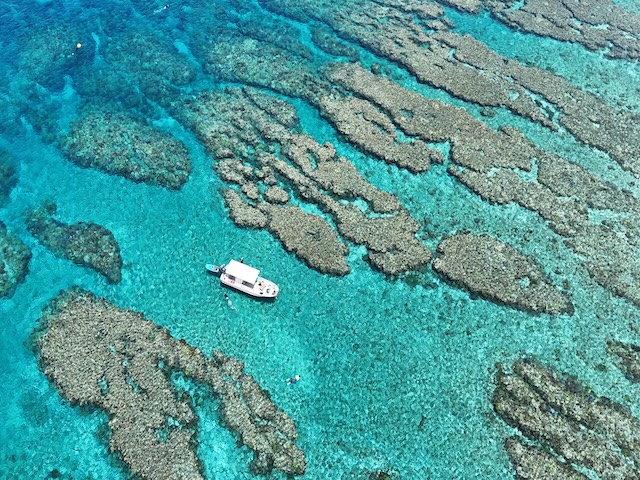 ドローンで透明度抜群の海を撮影