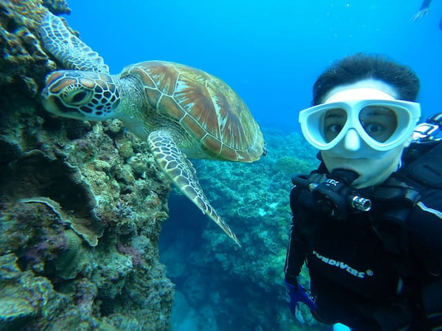 慶良間で体験ダイビング中に会えたウミガメとの写真