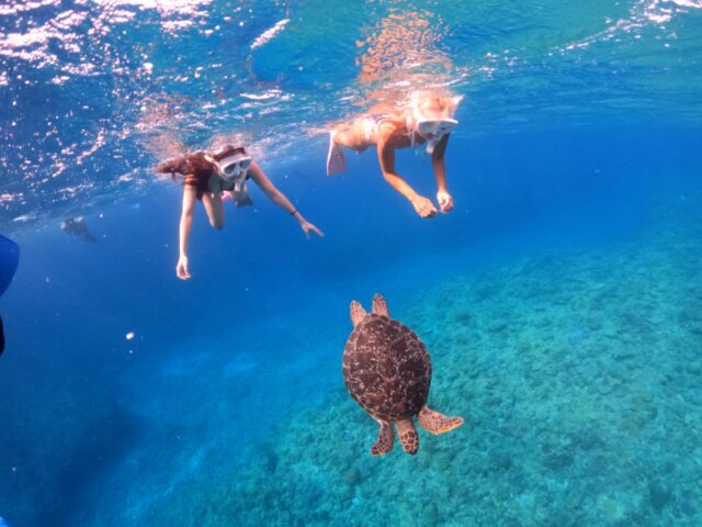 慶良間の海で一緒にウミガメと泳いでる様子
