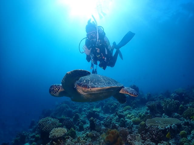 沖縄でダイビング中にウミガメと一緒に記念撮影
