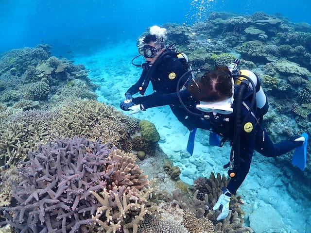春休みに慶良間諸島で体験ダイビングを楽しむ初心者ダイバー
