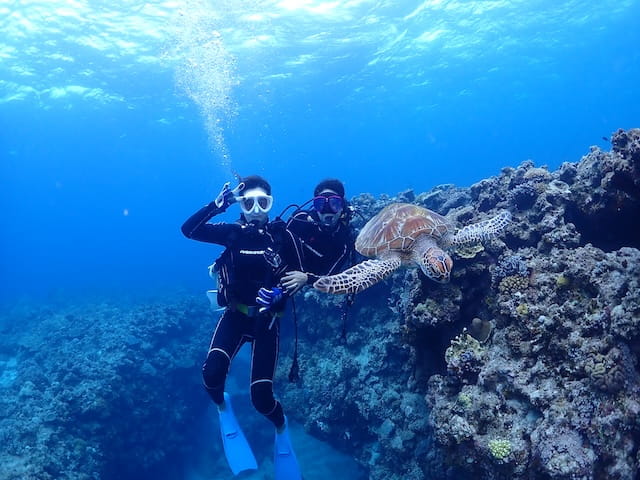 沖縄の慶良間諸島でウミガメと一緒にダイビングで泳いだ